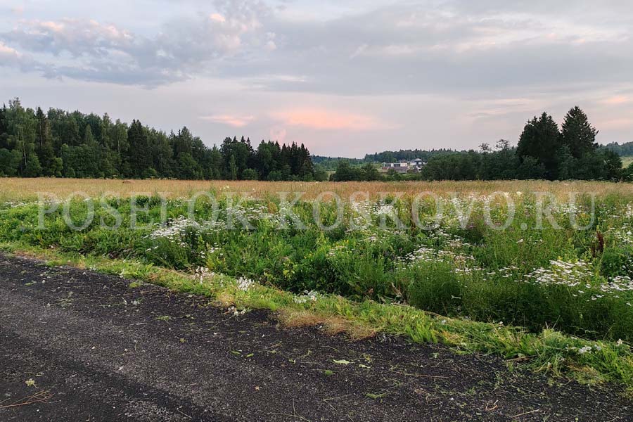 Поселок Коськово